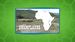 The Males of This Animal Can Weigh Up To 2,000 Pounds Instructional Video