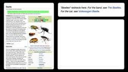 TED: Reinventing the encyclopedia game | Rives Instructional Video