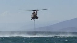 CLEAN : Greek firefighters hopeful of containing forest blaze News Clip