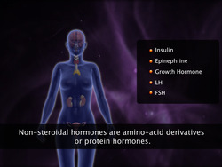Mechanism of Hormone Action Instructional Video
