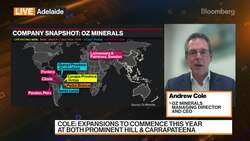 OZ Minerals CEO: Bullish on Copper Fundamentals Long Term News Clip