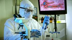 How do vaccines work? Instructional Video