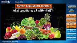 Plant Tissues: Simple Permanent Tissues and Their Functions Instructional Video