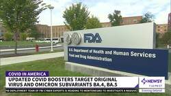 The FDA Has Authorized New Omicron Booster Shots News Clip