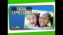 Where Do Our Facial Expressions Come From? Instructional Video