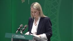 Revised migration rules could see significant number deported to EU countries News Clip