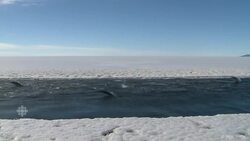 World's largest marine sanctuary created in Antarctica News Clip