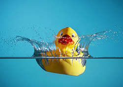 Buoyancy: The Forces That Determine Why Objects Float or Sink Instructional Video