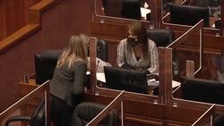 CLEAN : Chile's Senate expected to pass pension reform law News Clip