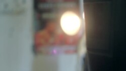 Different Types of Boxers Instructional Video