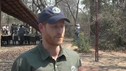 Prince Harry interview at Liwonde National Park News Clip