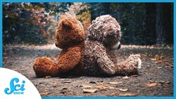 The Stages of a Failed Relationship | Compilation Instructional Video