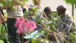 Boko Haram releases schoolgirls News Clip