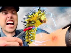 Stung by an Electric Caterpillar! Instructional Video