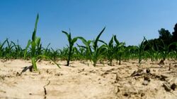 Human and Environment Interactions Instructional Video