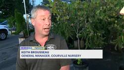 Norwalk Tree Alliance and Courville Nurseries giving out free shade trees News Clip