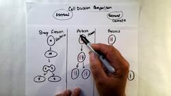Comparing Cell Division Instructional Video