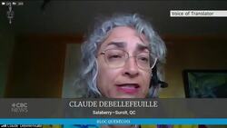 Liberal MP caught on camera naked during question period News Clip