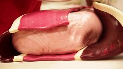 Making Candy Canes Stock Footage