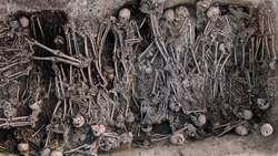 The Worst Pandemics in History - What Do They Teach Us? Instructional Video