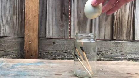 Egg In a Bottle Experiment