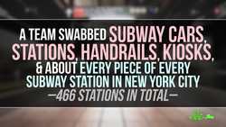 New York Citys Microbiome Instructional Video