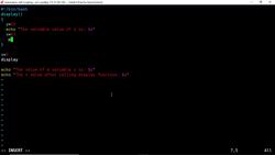 Bash Shell Scripting- Scope of the Variables (Global and Local Variables), Returning a variable value Instructional Video