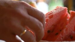 Human hand takes and picks up a piece of ripe red watermelon which is professionally cut. Vitamins in nature. Healthy lifestyle. The main food is fruit. Stock Footage