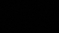 CLEAN : Coronavirus: Global death toll tops 75,000 (AFP tally) News Clip