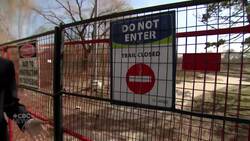 Toronto swaps sand for cobblestones at popular Humber Bay beach. Locals are not happy News Clip