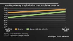 Report highlights risks of cannabis edibles to children News Clip