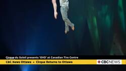 Cirque du Soleil returns to Ottawa to present 'OVO' News Clip