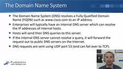 Cisco CCNA 200-301: The Complete Guide to Getting Certified - DNS The Domain Name System Instructional Video