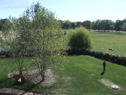 How to Train a Dog to Fetch Instructional Video