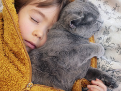 Justice and Fairness Instructional Video