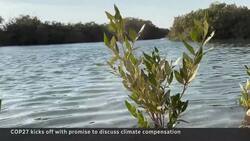 Climate compensation added to COP27 negotiations News Clip