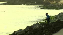 Obama arrives in Cuba News Clip