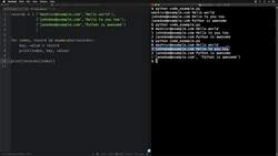 Python 3: Project-based Python, Algorithms, Data Structures - Intro to search - Linear, Bisection/Binary search Instructional Video