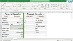 Microsoft Excel Tutorial: Presenting Numeric Data in Various Formats Instructional Video