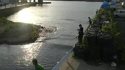 Fishermen Fishing For Pink Salmon At The Sea Of Okhotsk In Hokkaido, Japan Stock Footage