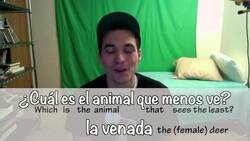 Learn Spanish with a Joke - (#22) Instructional Video