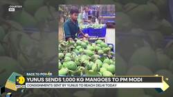 Bangladesh’s Interim Chief Yunus Revives Mango Diplomacy With India Instructional Video