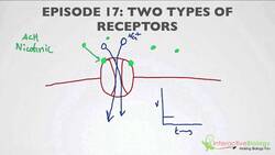 017 Two Types of Receptors Instructional Video