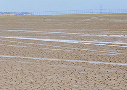 El Niño Instructional Video