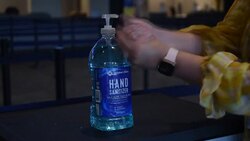 CLEAN : Elvis enthusiasts visit the King's house as it reopens with limited capacity News Clip