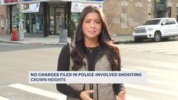 Attorney General: No charges filed in fatal police shooting of Christopher Ferguson in Crown Heights News Clip