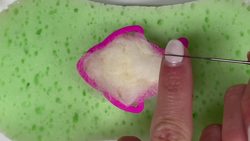 Needle Felting in a Cookie Cutter Felting For Beginners! Instructional Video
