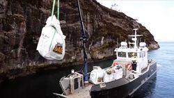 Plastic to be Cleared in Wake of Ocean Rescue Campaign News Clip