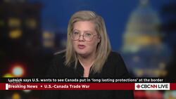 Will public and private negotiations get U.S. tariffs off Canadian goods? | Power & Politics News Clip