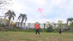 Science Of Kites: How Do Kites Fly? Instructional Video
